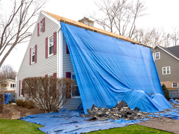 Best Steel Siding Installation  in Orofino, ID